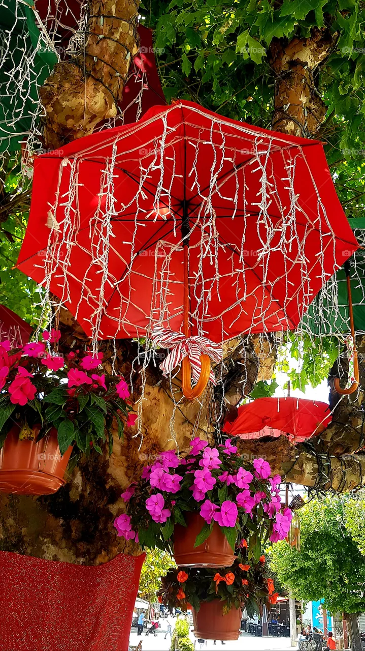 colorful parasol