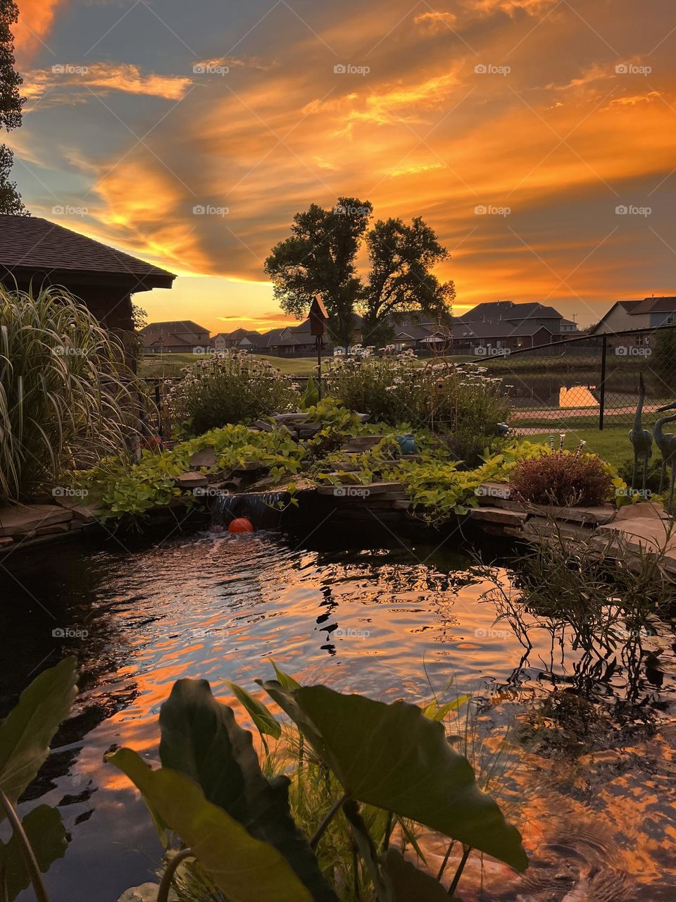 Oklahoma Sunset on the Pond
