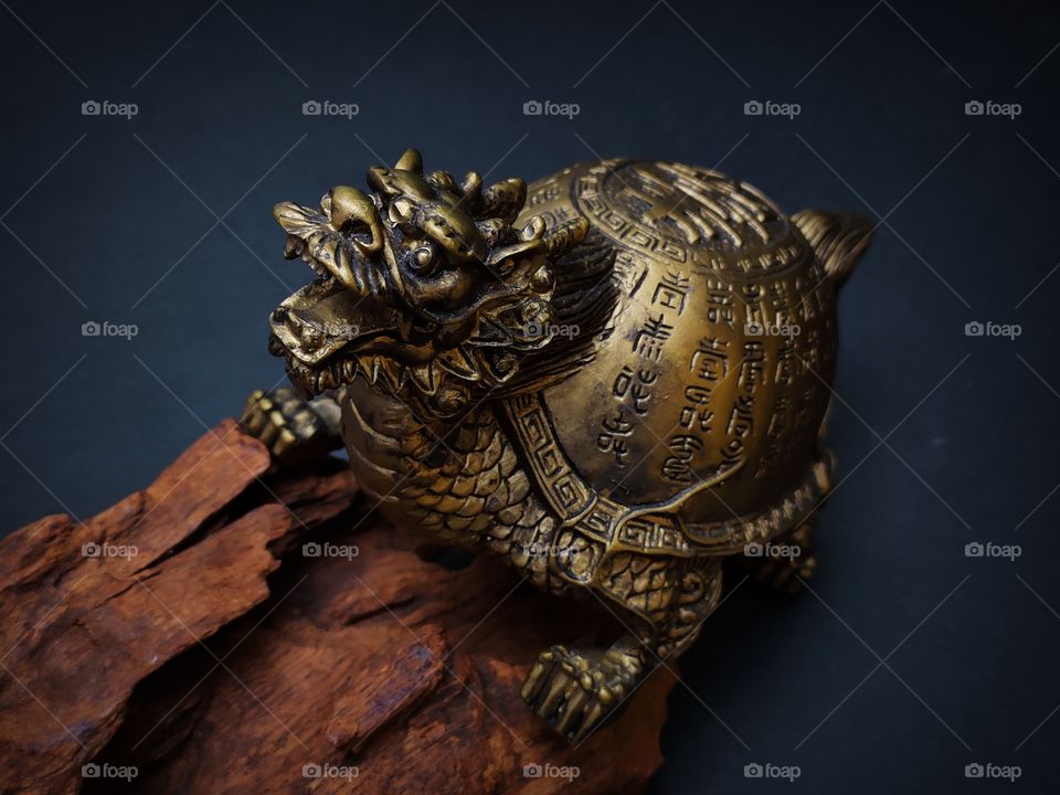 dragon turtle decoration