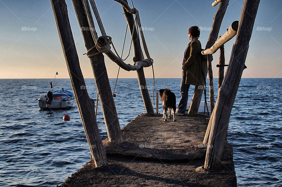 sky blue sunset dog by selecshine