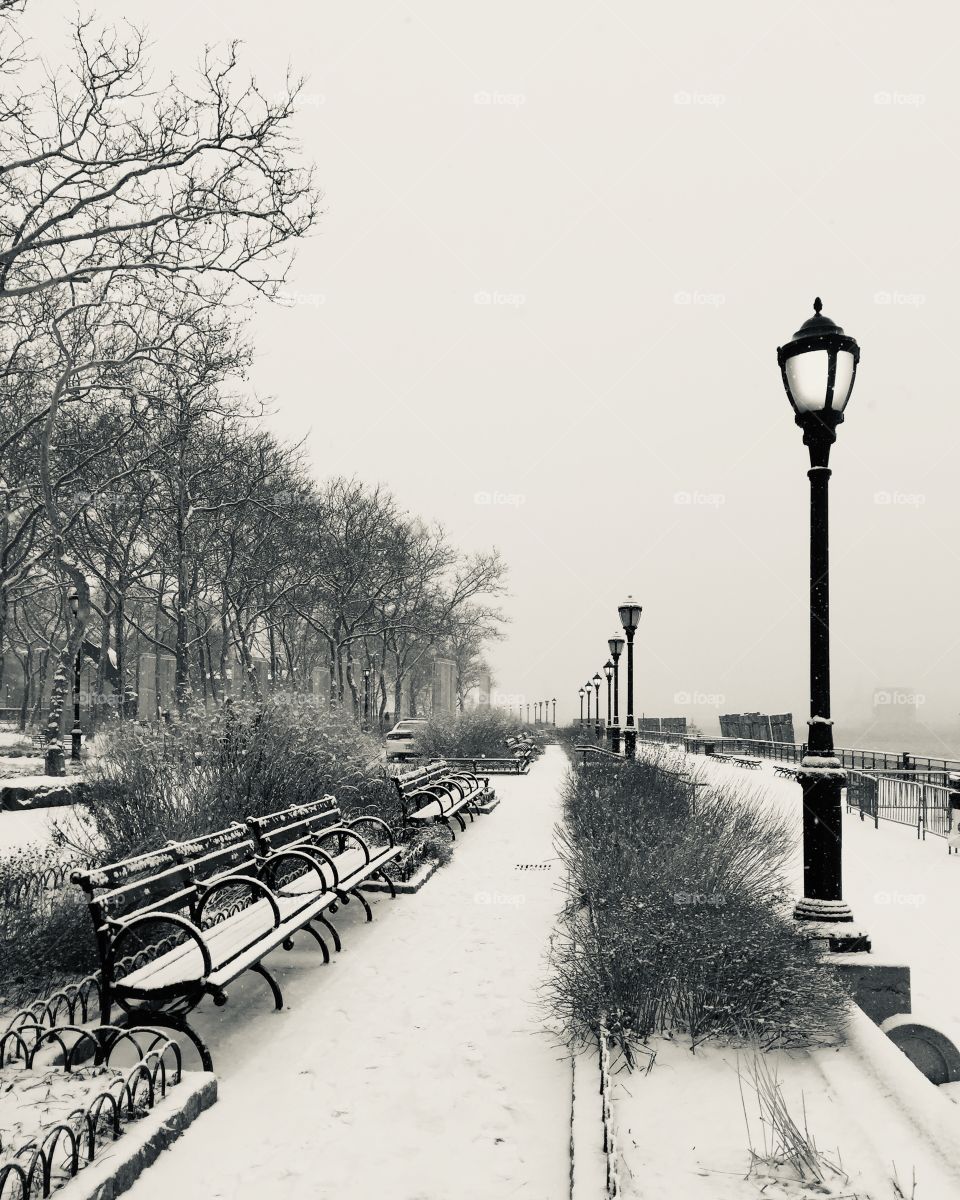 Winter in Battery Park