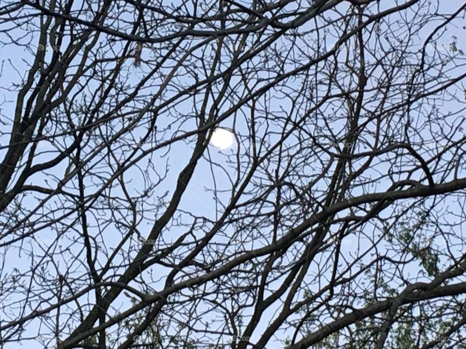 A big ball in the sky a beautiful full moon as the sun begins to set on another day.