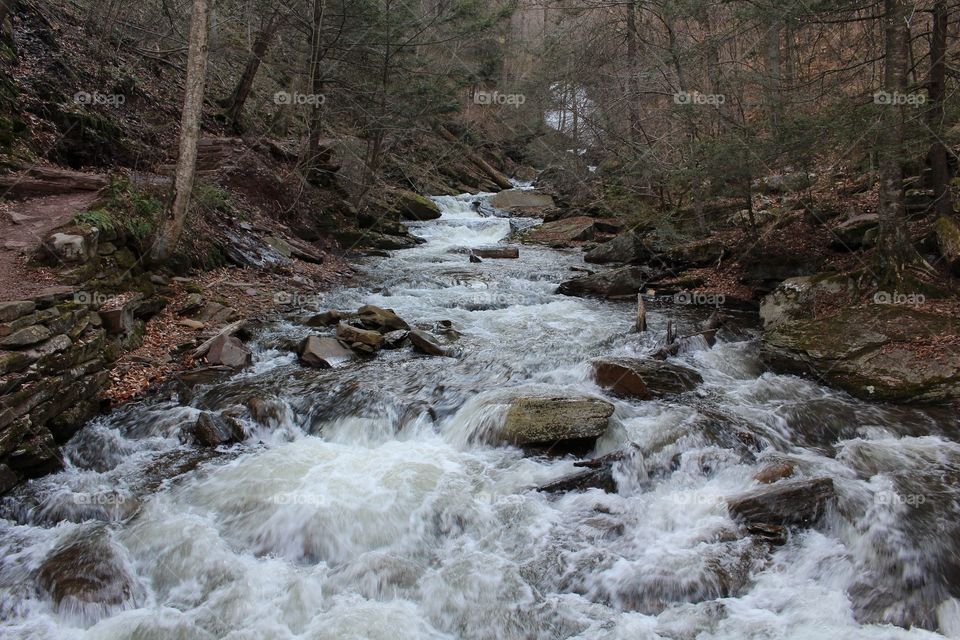 Rapids on Ricketts Glen State Park stream
