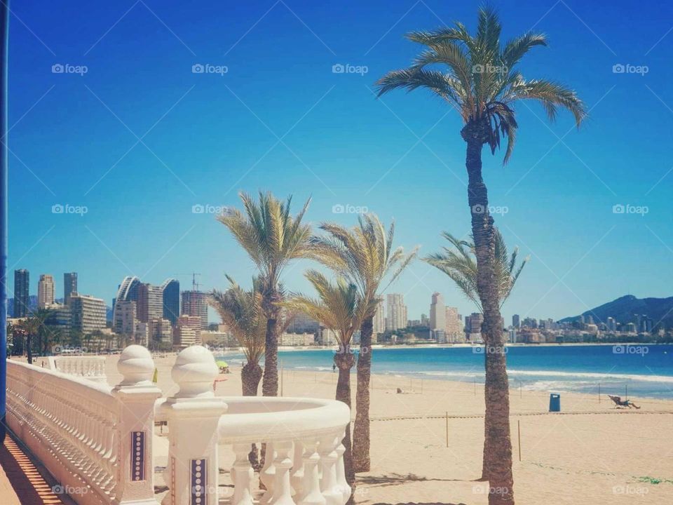 Beach#palms#view#sand#sky