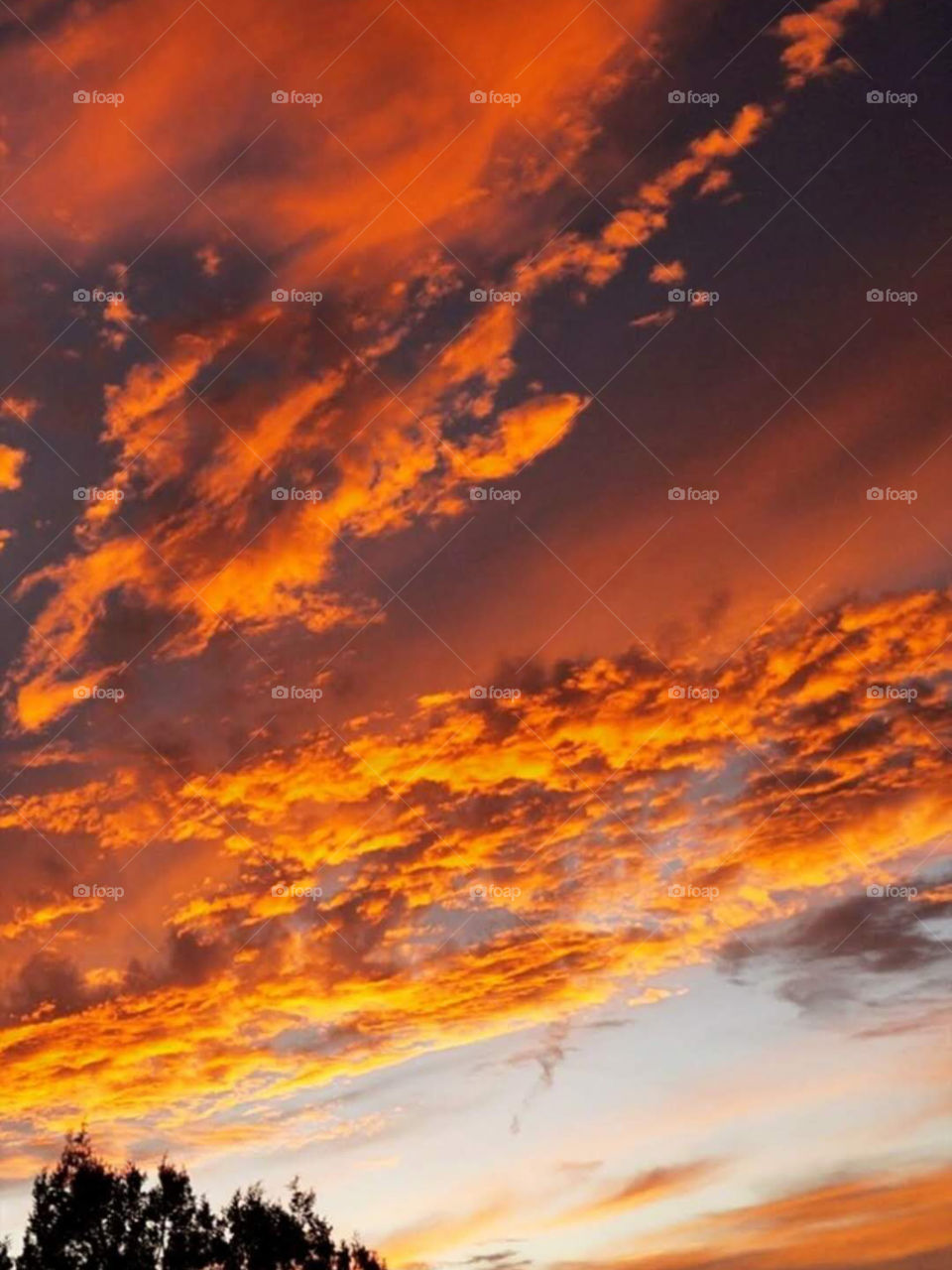 Colors are the smiles of nature.