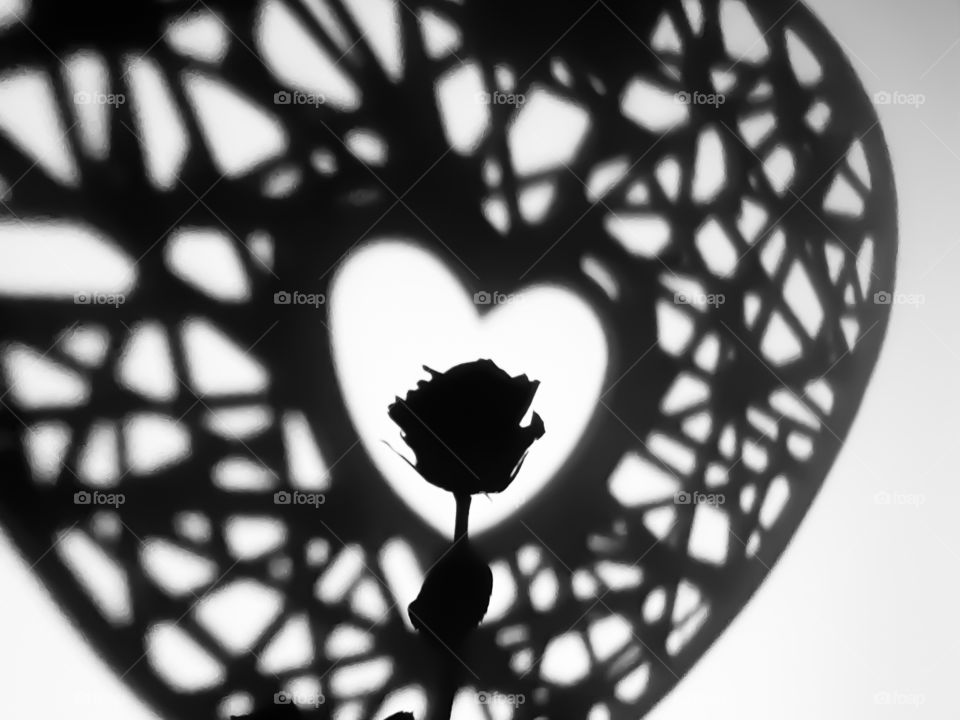Rose and hearth shadows.
