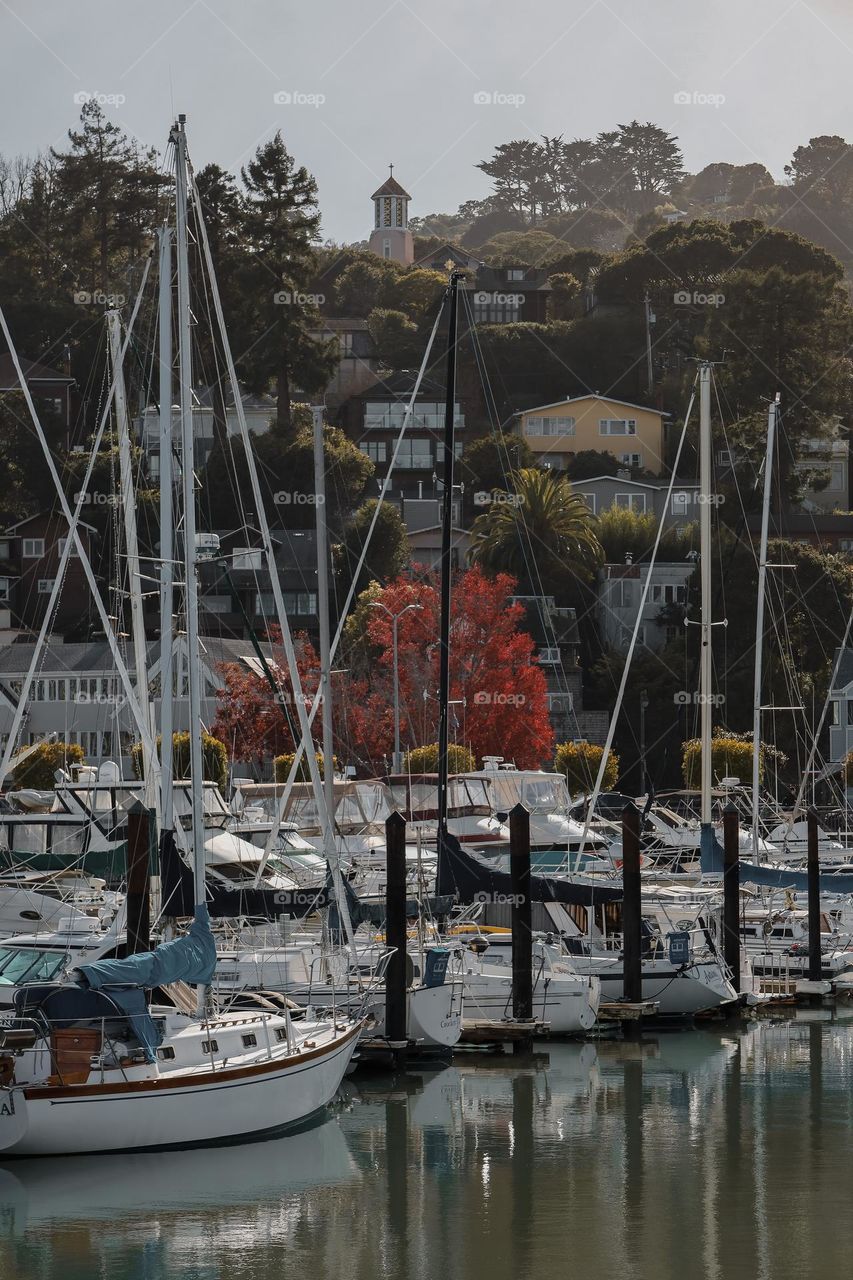 Sausalito, CA