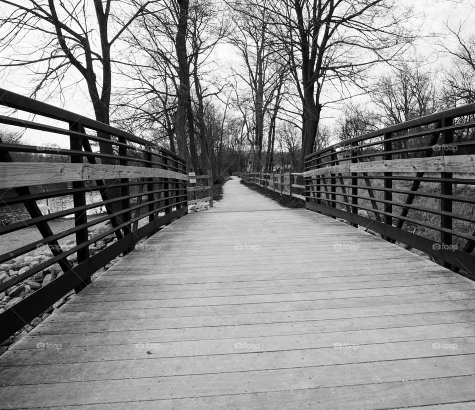 Planks. Walking Path