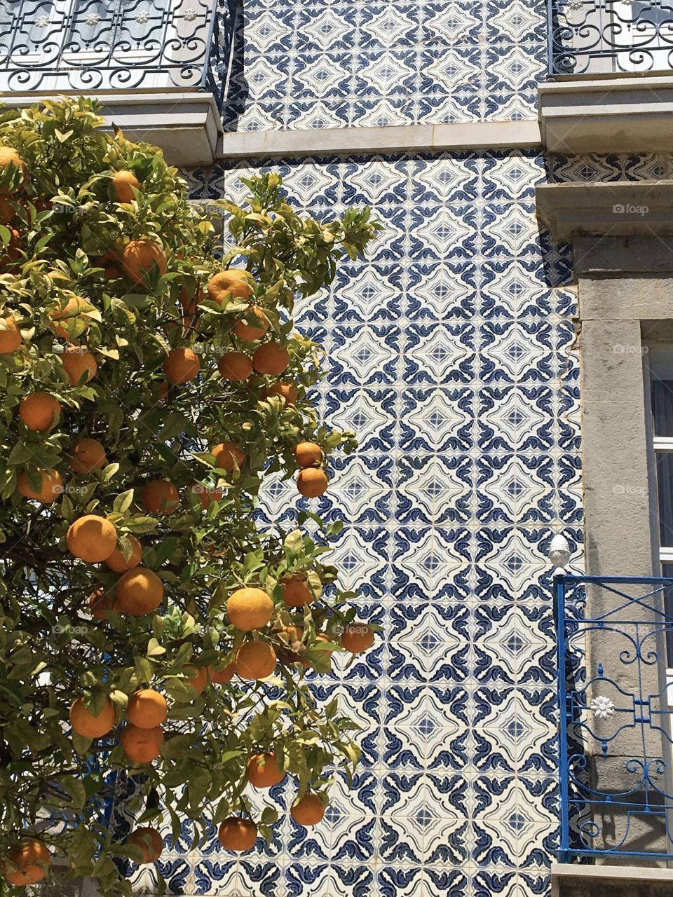 Decorative pattern on house with orange tree