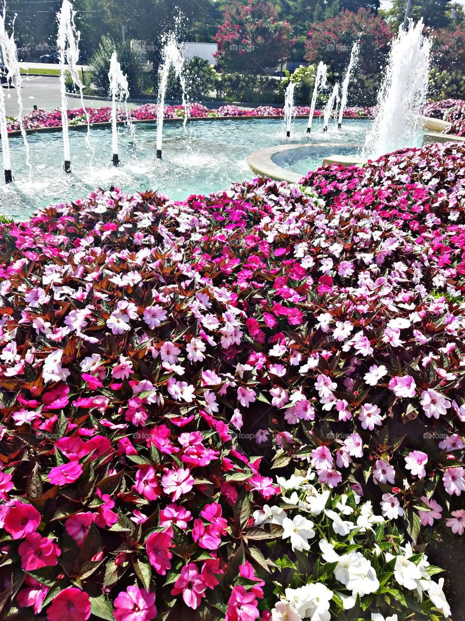 Carle Place, NY - August 2017 - Taken on Android Phone - Galaxy S7 - Outdoor Decorations: Water Fountains and Flowers on a Sunny Day