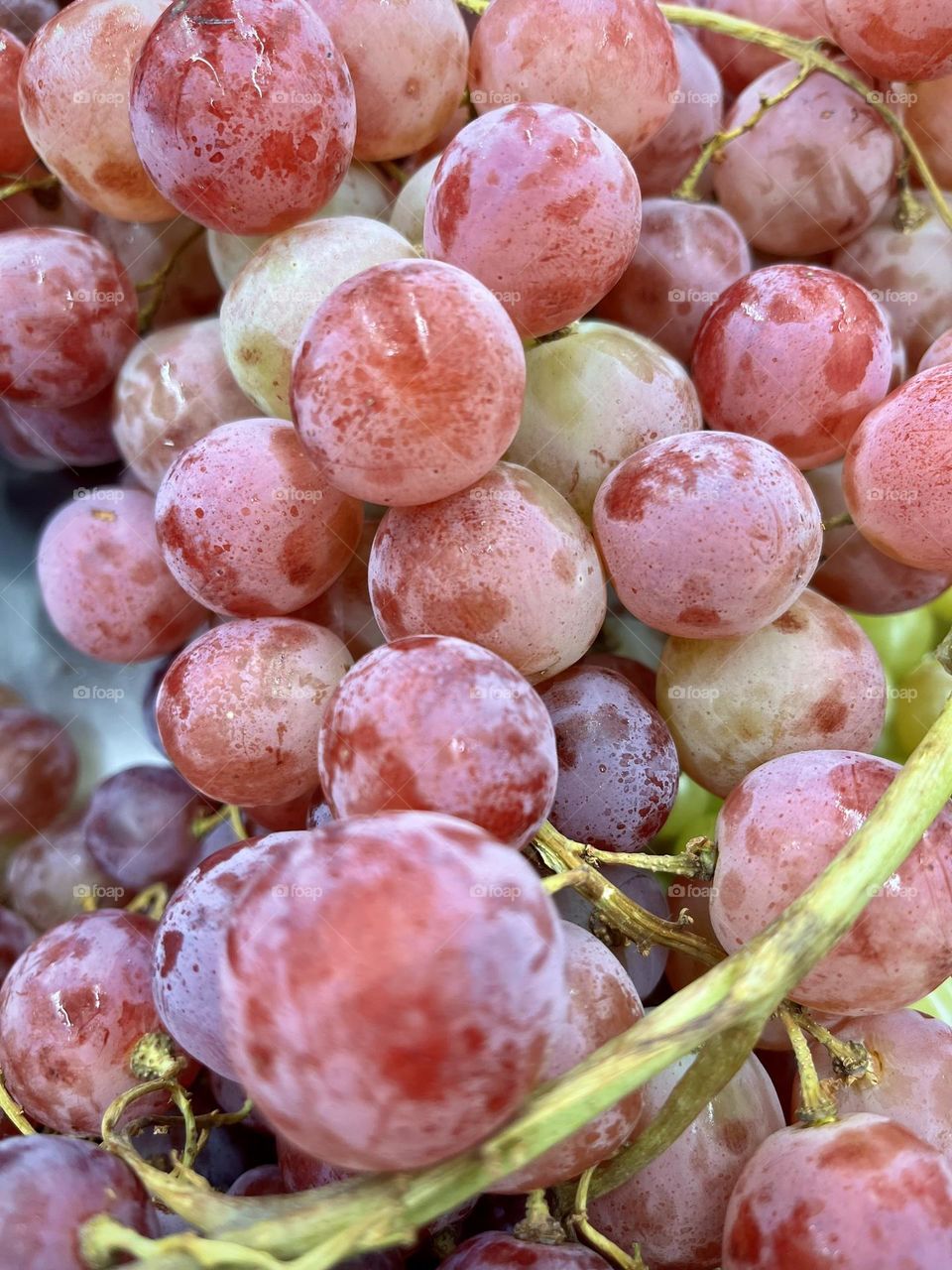 Grapes 