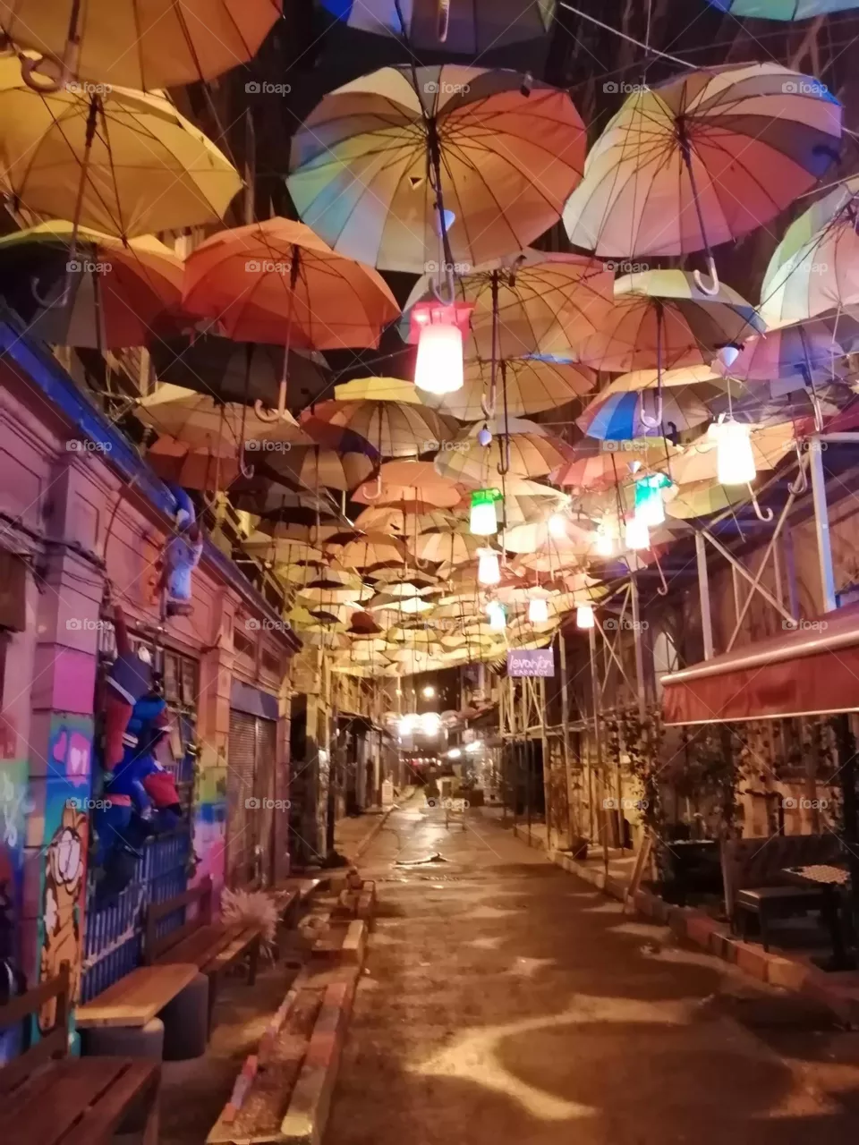 Umbrella 