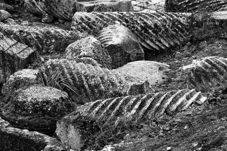 Column fields, Syria 