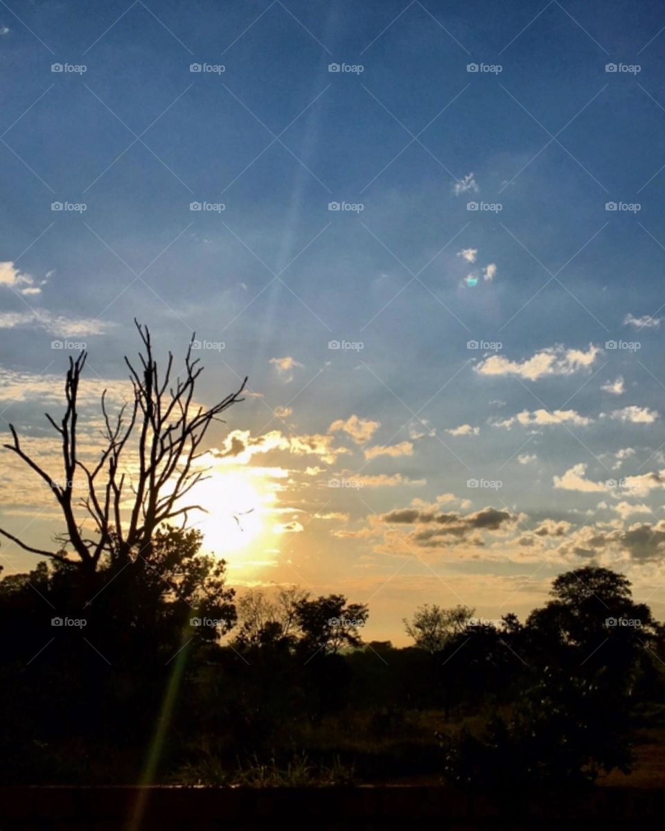 🌄🇺🇸 An extremely beautiful dawn in Jundiaí, interior of Brazil. Cheer the nature! / 🇧🇷 Um amanhecer extremamente bonito em Jundiaí, interior do Brasil. Viva a natureza! 