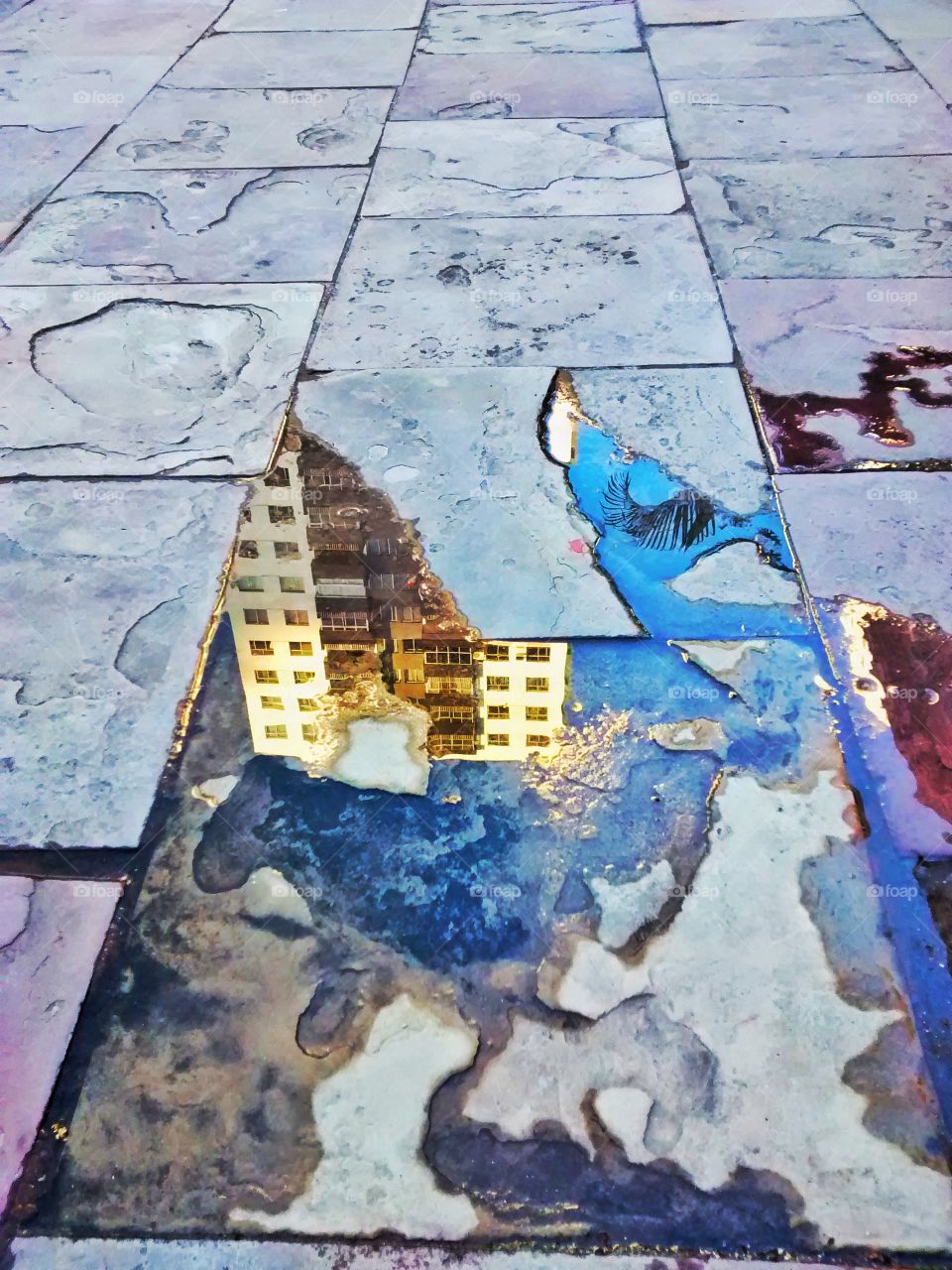 High angle view of reflection in water on tiled floor