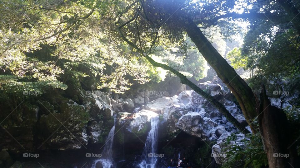 Waterfall. Forest river bath. 
Donnaeko, Jeju Island (South Korea)