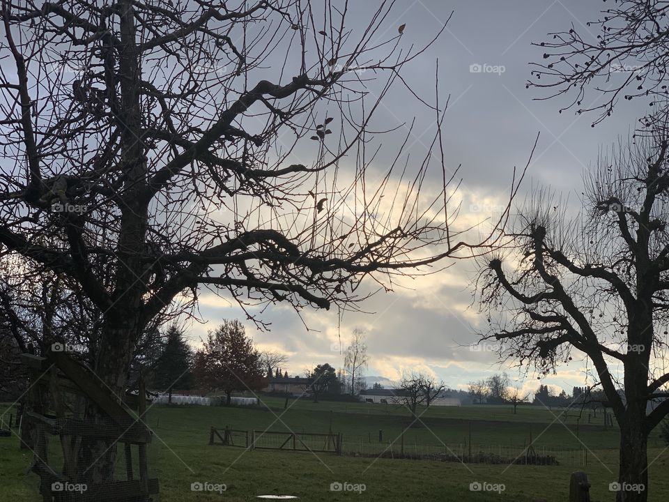 A village in the Swiss country