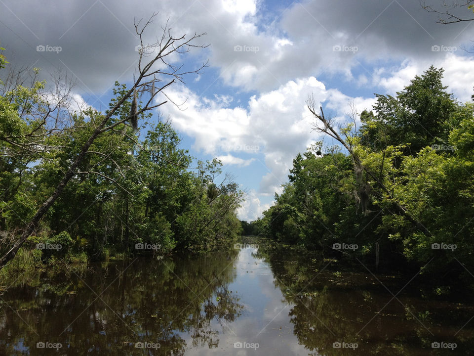 nature trees river reflection by kumi