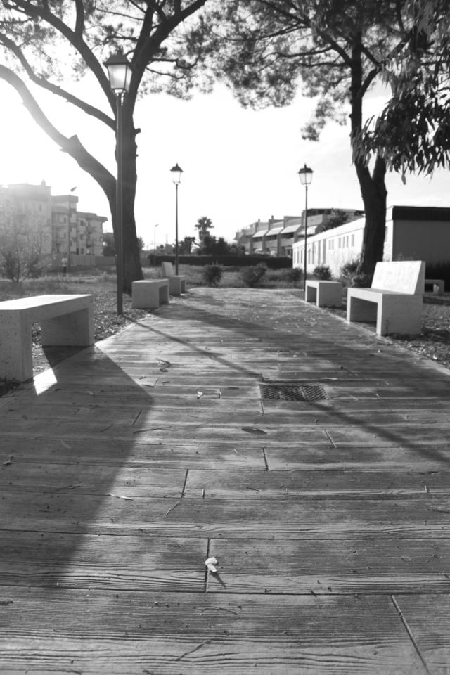avenue black and white