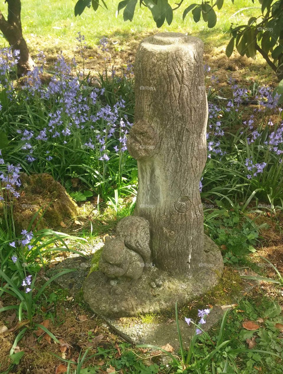 squirrel statue. statue