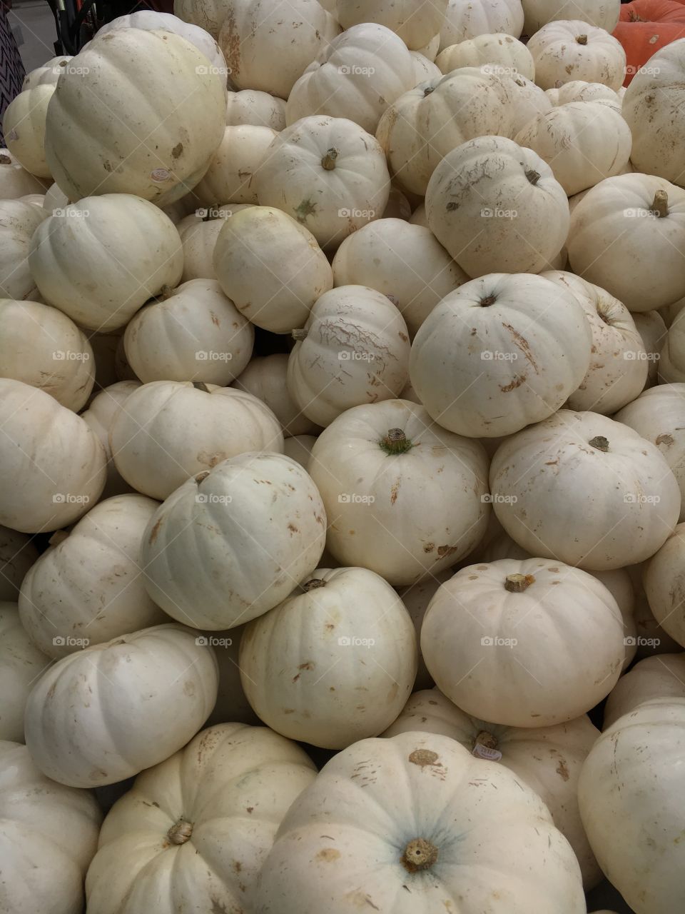 Ghost Pumpkins 