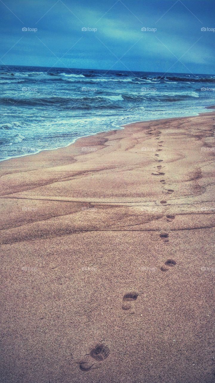 long walks on the beach
