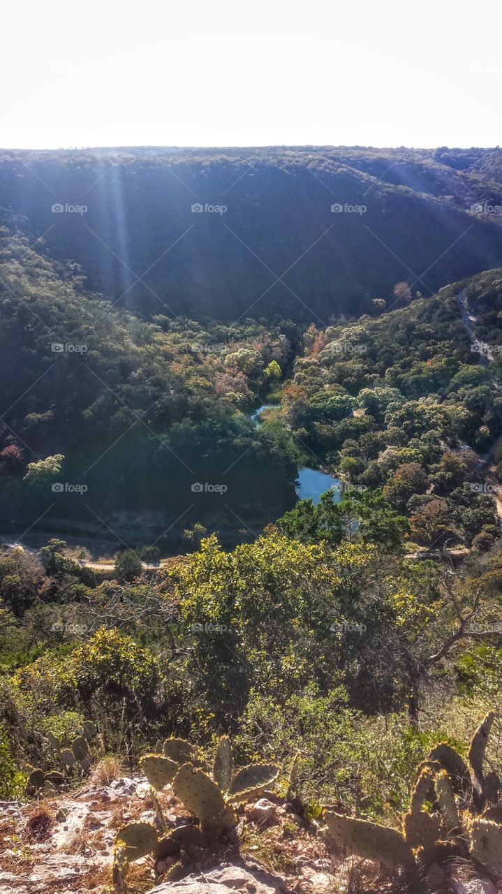 List Maples Park,Texas