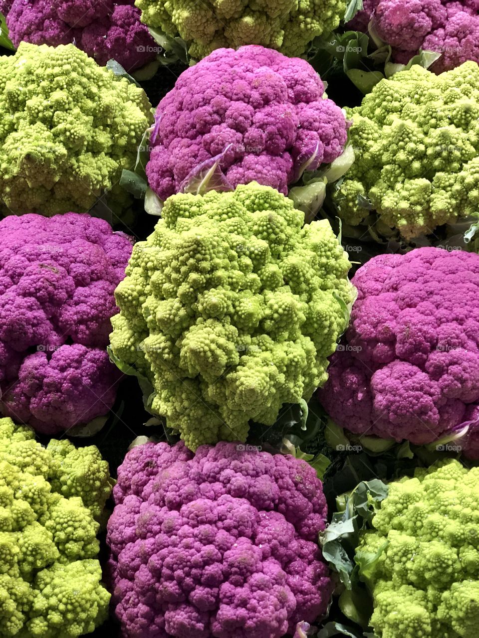 Purple cauliflower and Romanesco