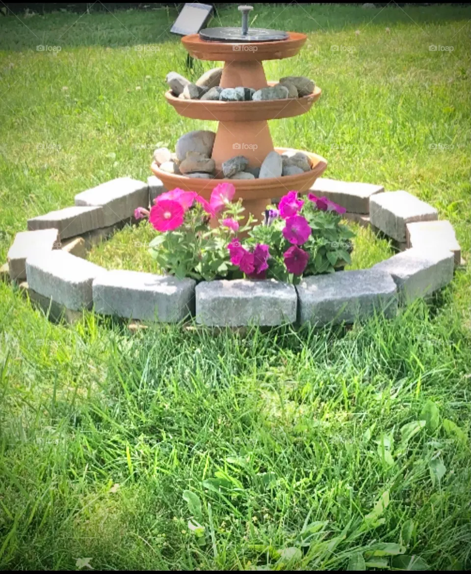 Bird bath