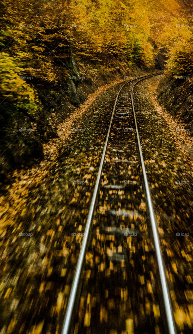 Train tracks in autumn