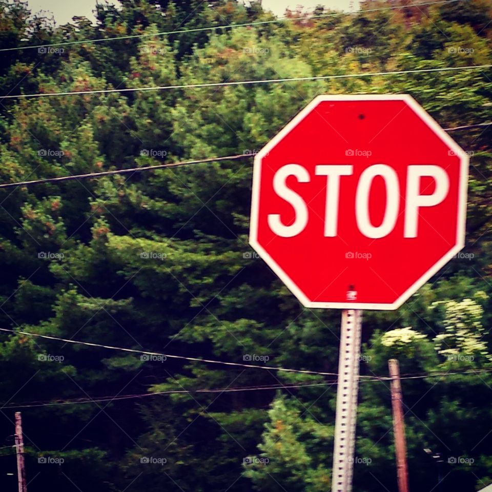 A stop sign in a small town.