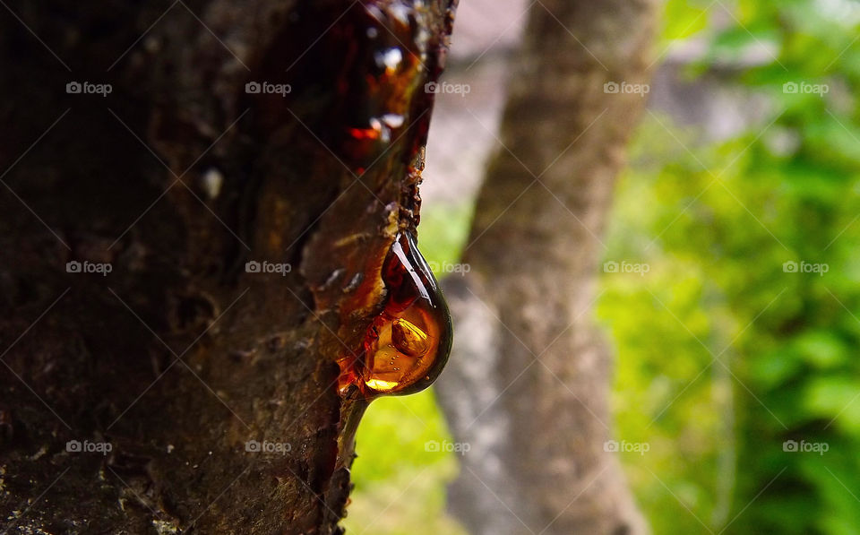 resin spring tree