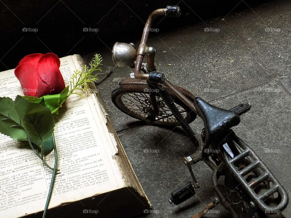 The meaning of love in a book