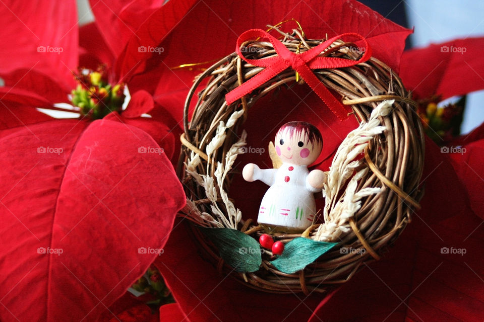 Christmas Angel and poinsettia 