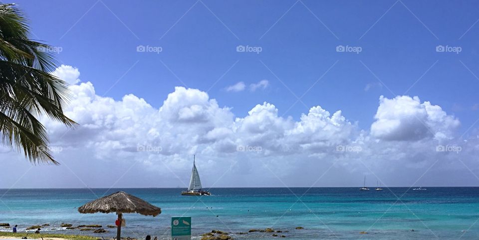 Sailboat in the distance.  Beautiful backdrop of a blue sky with puffy white clouds. 