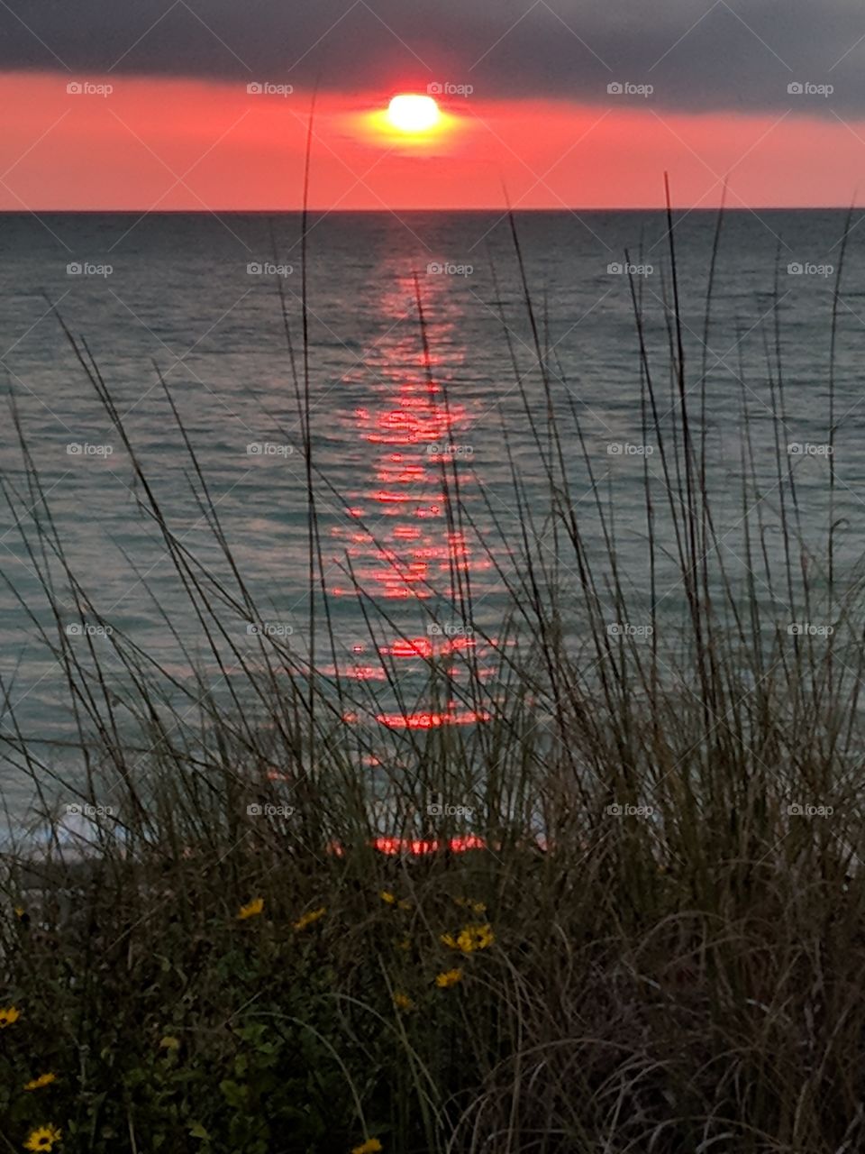 Florida Gulf coast sunset
