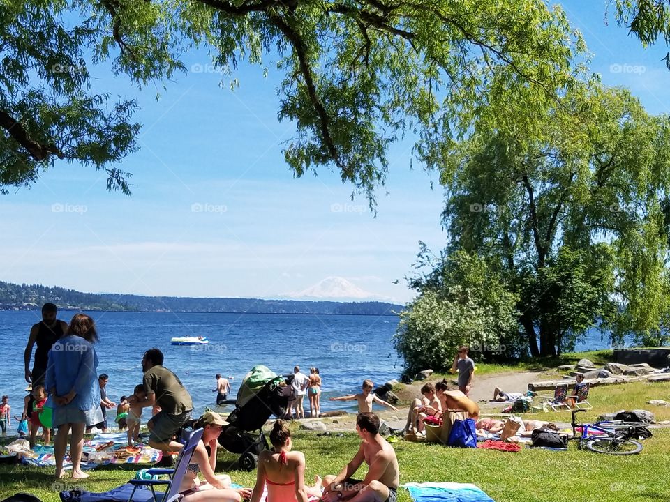 seattle beach day