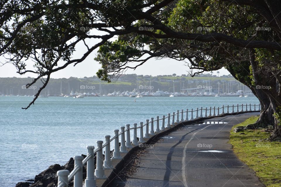 Auckland Waterfront Walk