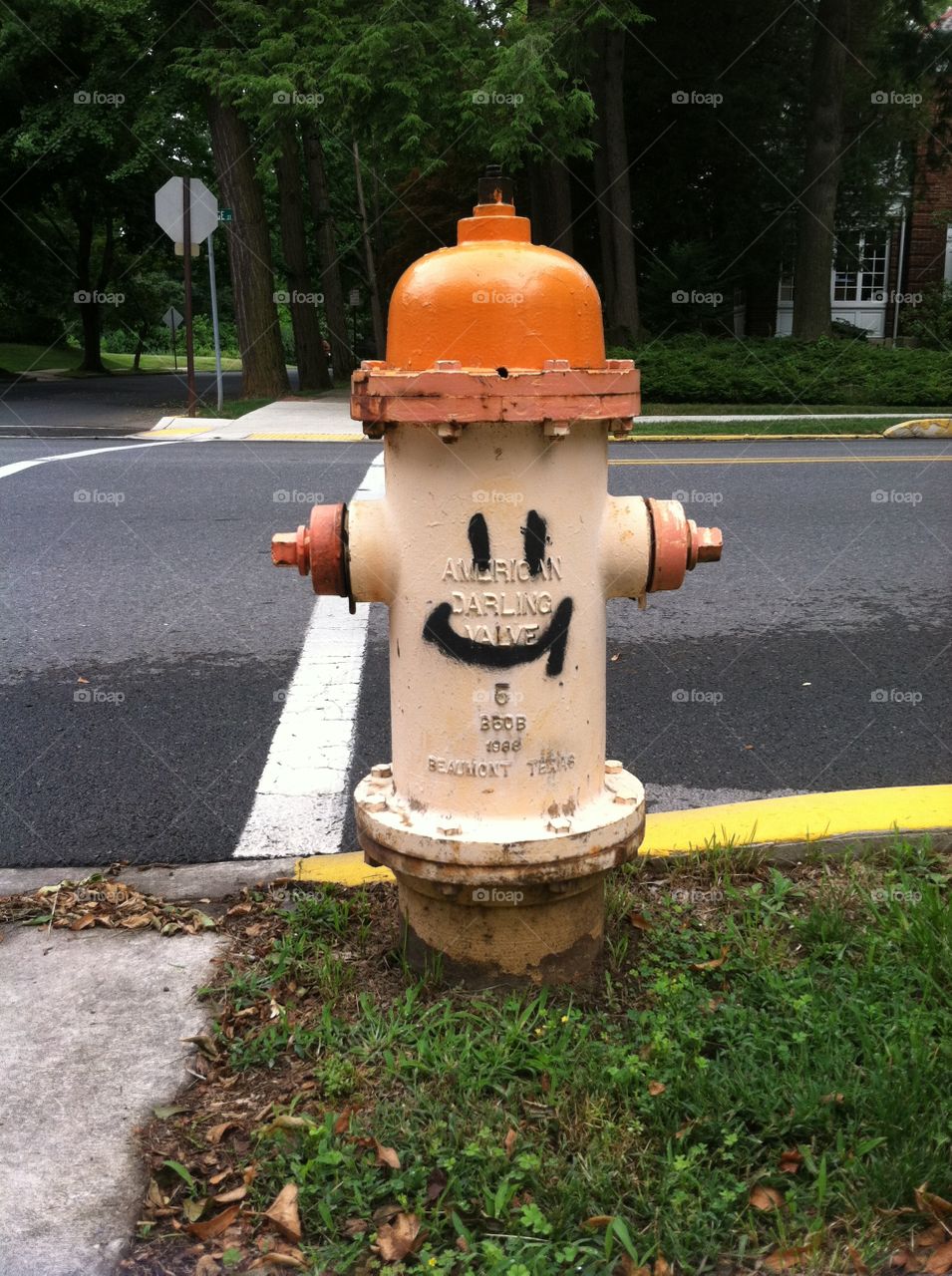 Even fire hydrants can smile