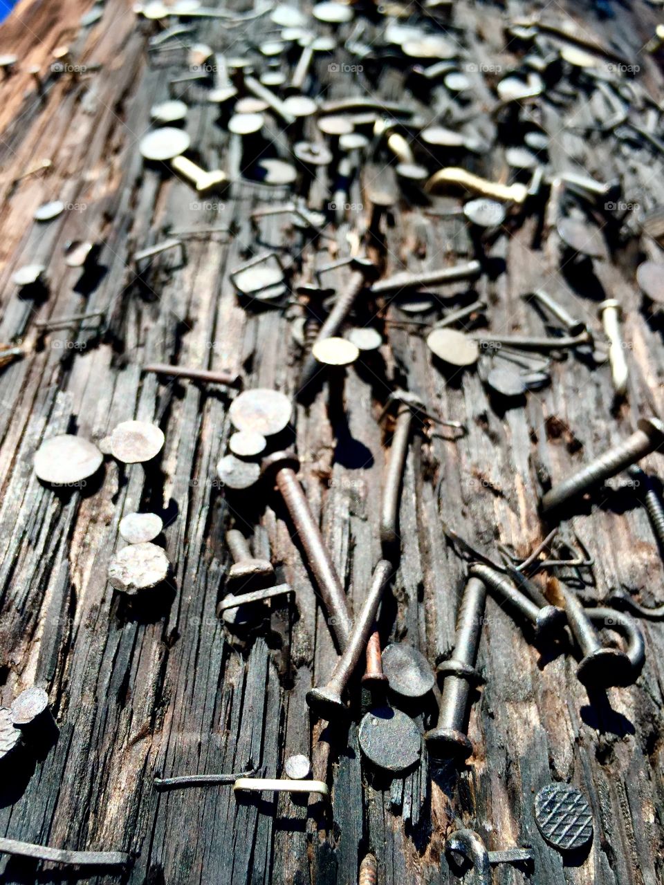 A myriad of nails and staples in a telephone pole. 