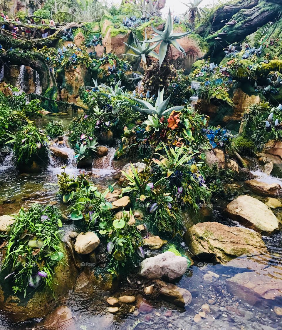 Beautiful and colorful landscape showcasing the natural beauty of Pandora in Walt Disney World’s Animal Kingdom. 