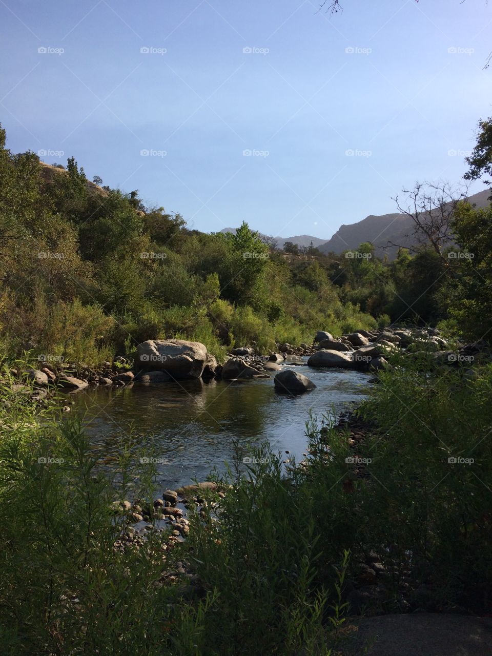 River late afternoon