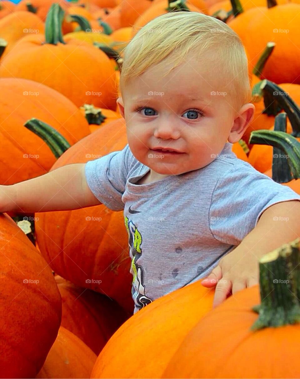 Little Pumpkin