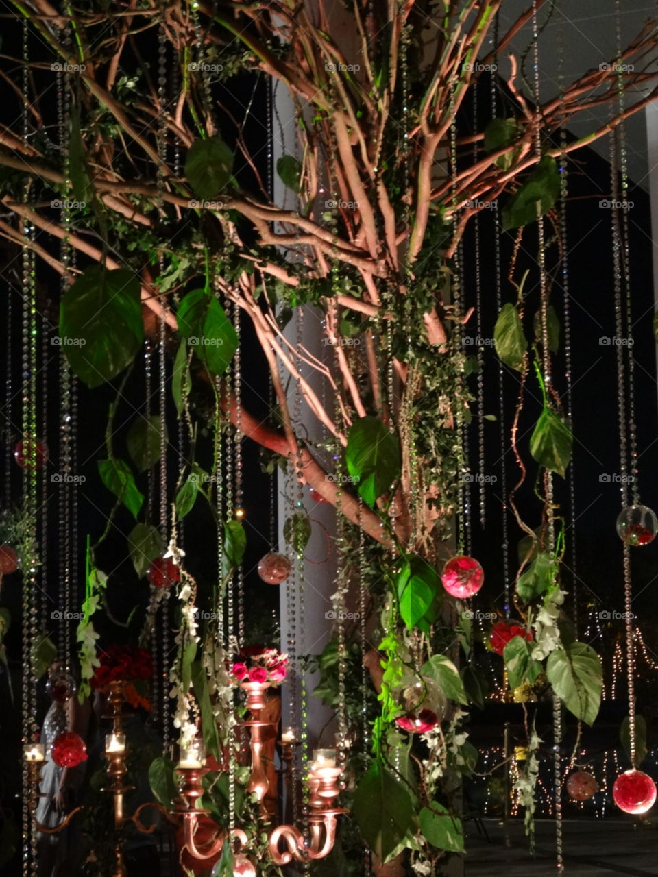 Tree, No Person, Hanging, Light, Desktop