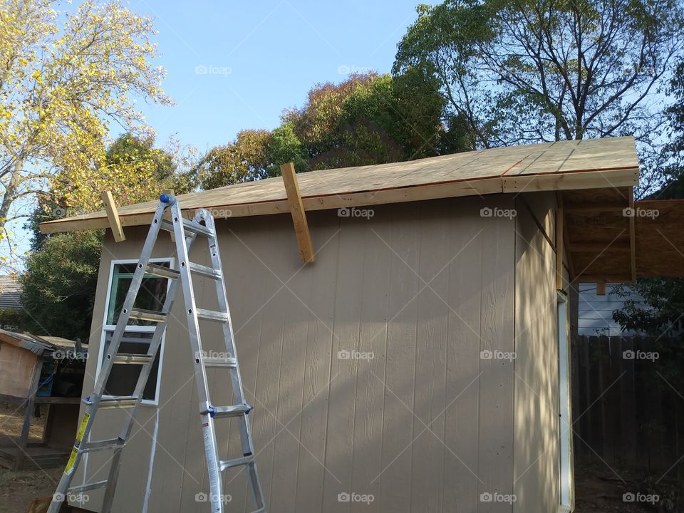 building 12x10 shed. walls up and onto the roof. ladder by window
