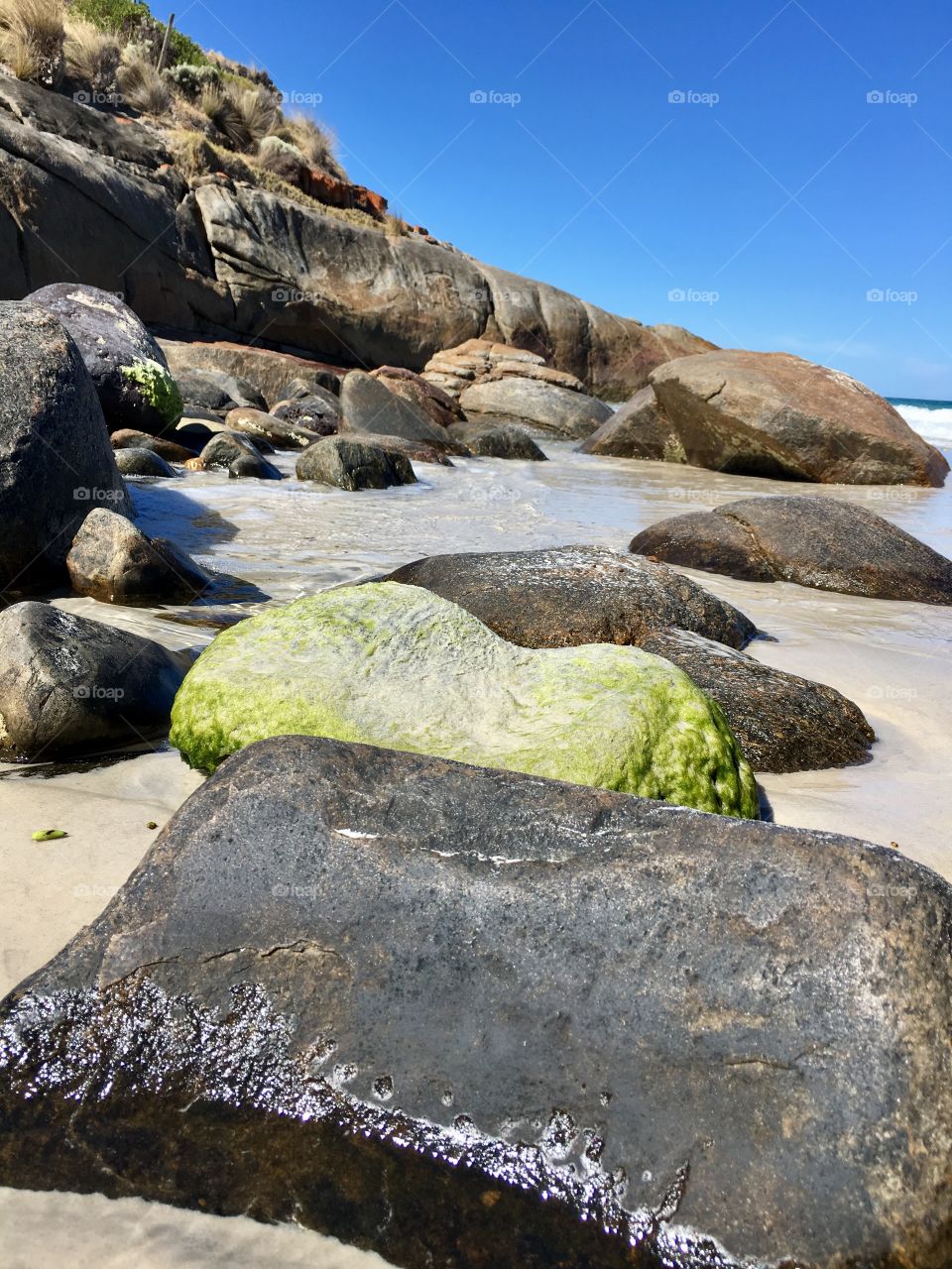 Ocean algae on rocks at low tide south Australia low angle image 