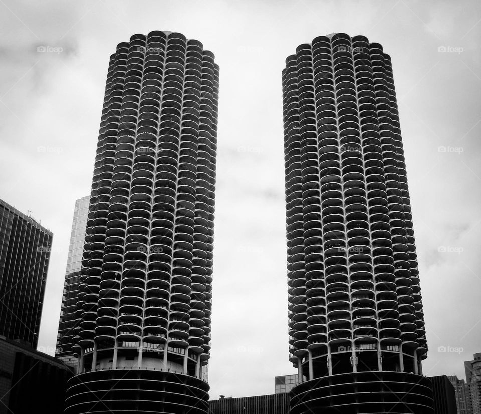 The Marina City twin towers.