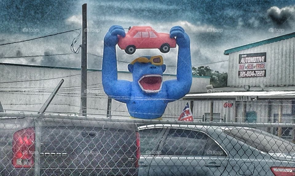 Car lot gorilla 