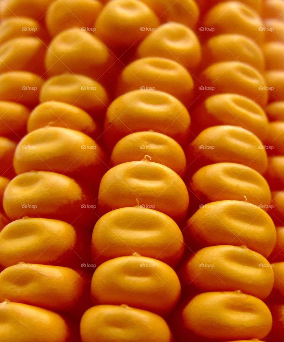 closeup of corn on the cob.