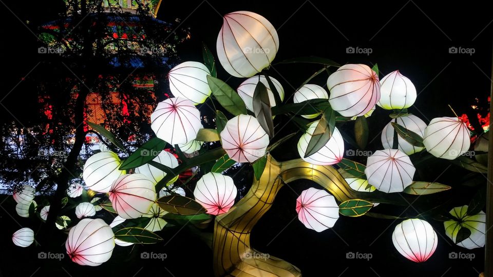 flower luminary